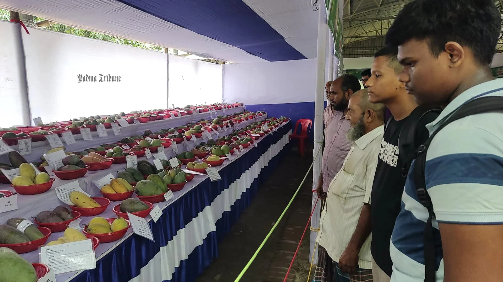 বউভোলানী, জামাই খুশিসহ ১৮৩ জাতের আম নিয়ে চাঁপাইনবাবগঞ্জে মেলা