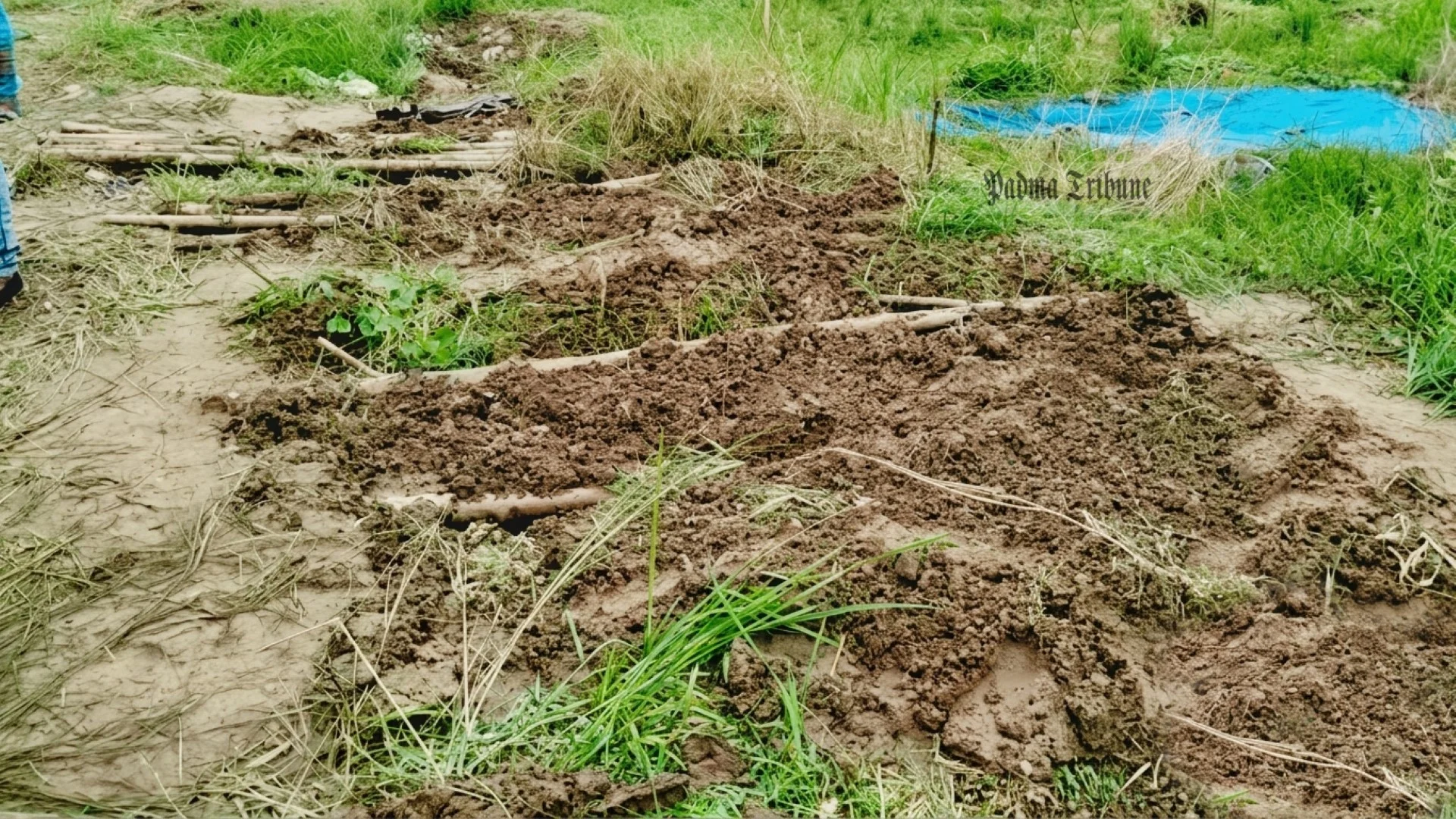 গোরস্তানের আগাছা পরিষ্কার করতে গিয়ে এলাকাবাসী দেখলেন ৯টি কবর খোঁড়া