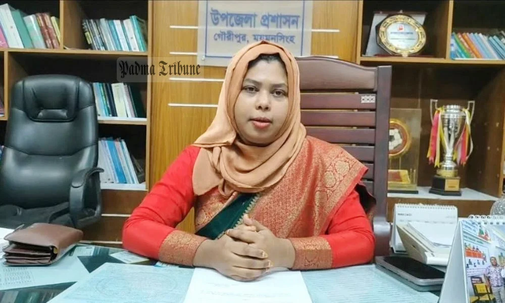 সরকারি দপ্তরে ছাত্রদল নেতার হুমকির অভিযোগ, ইউএনওর ভিডিও বার্তা