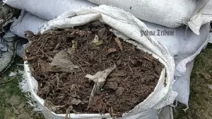 সরকারের বৃক্ষরোপণ কর্মসূচিতে সারের বদলে আবর্জনা